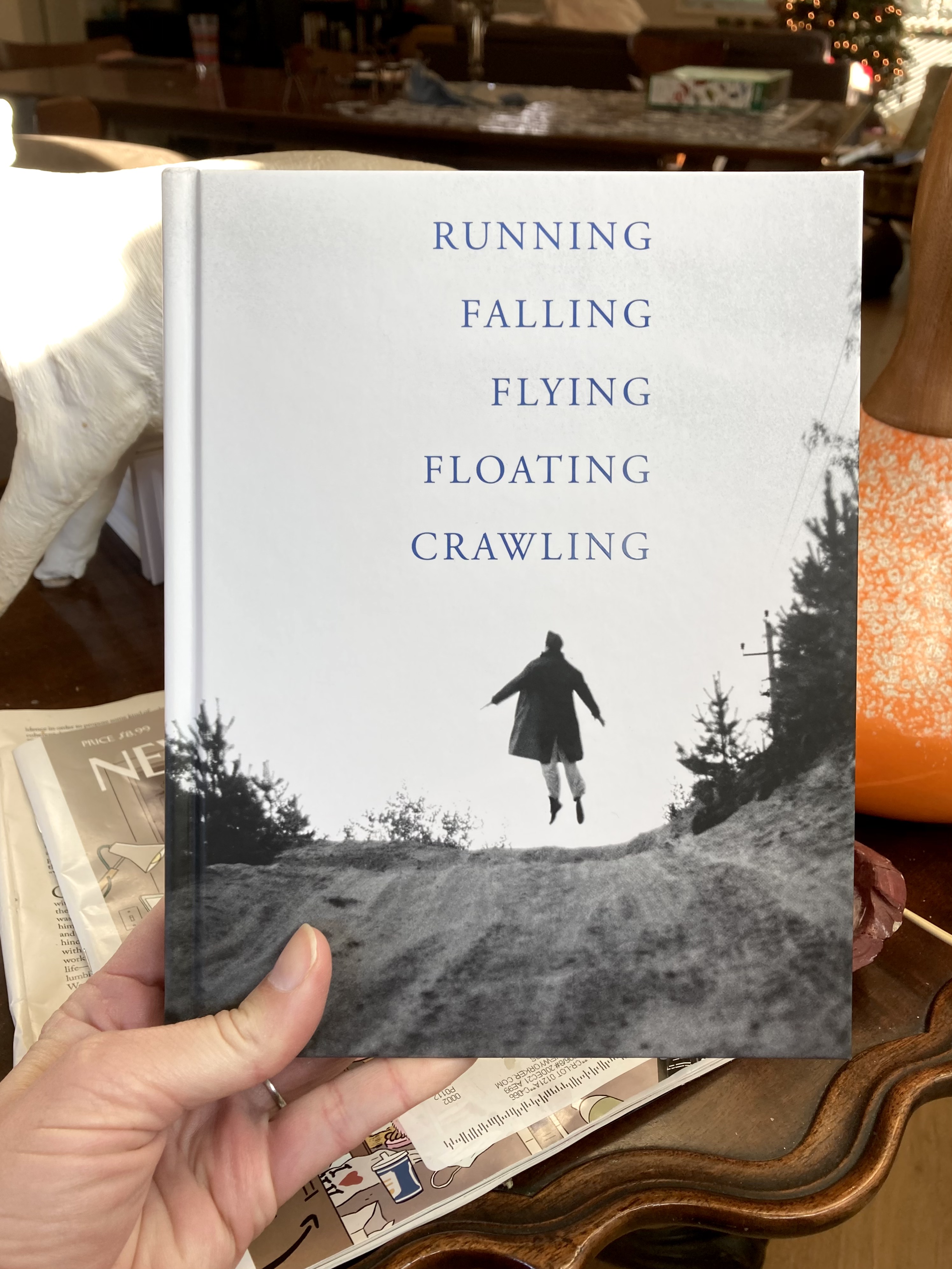 cover image of the book Running, Falling, Flying, Floating, Crawling