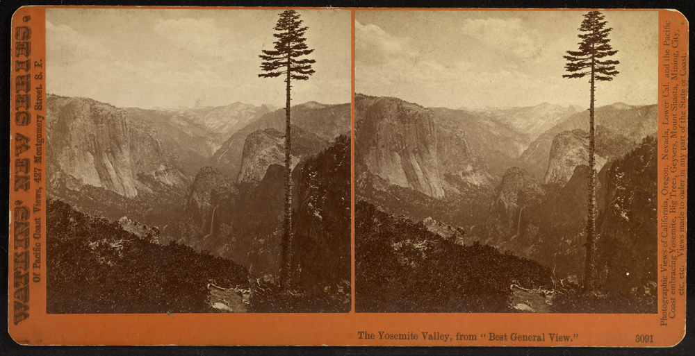 Watkins stereograph