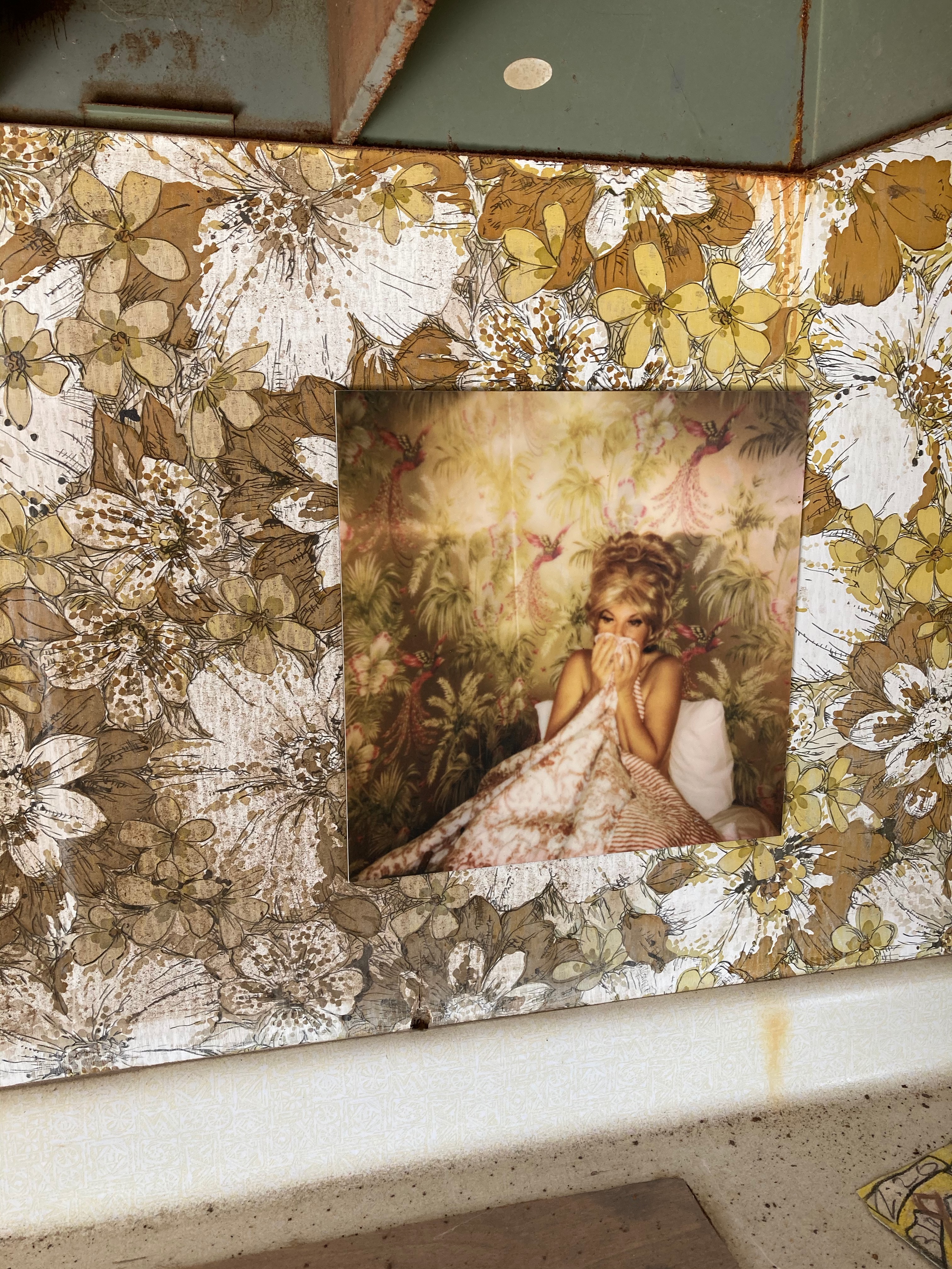 photograph of a woman in bed hanging on floral wallpaper