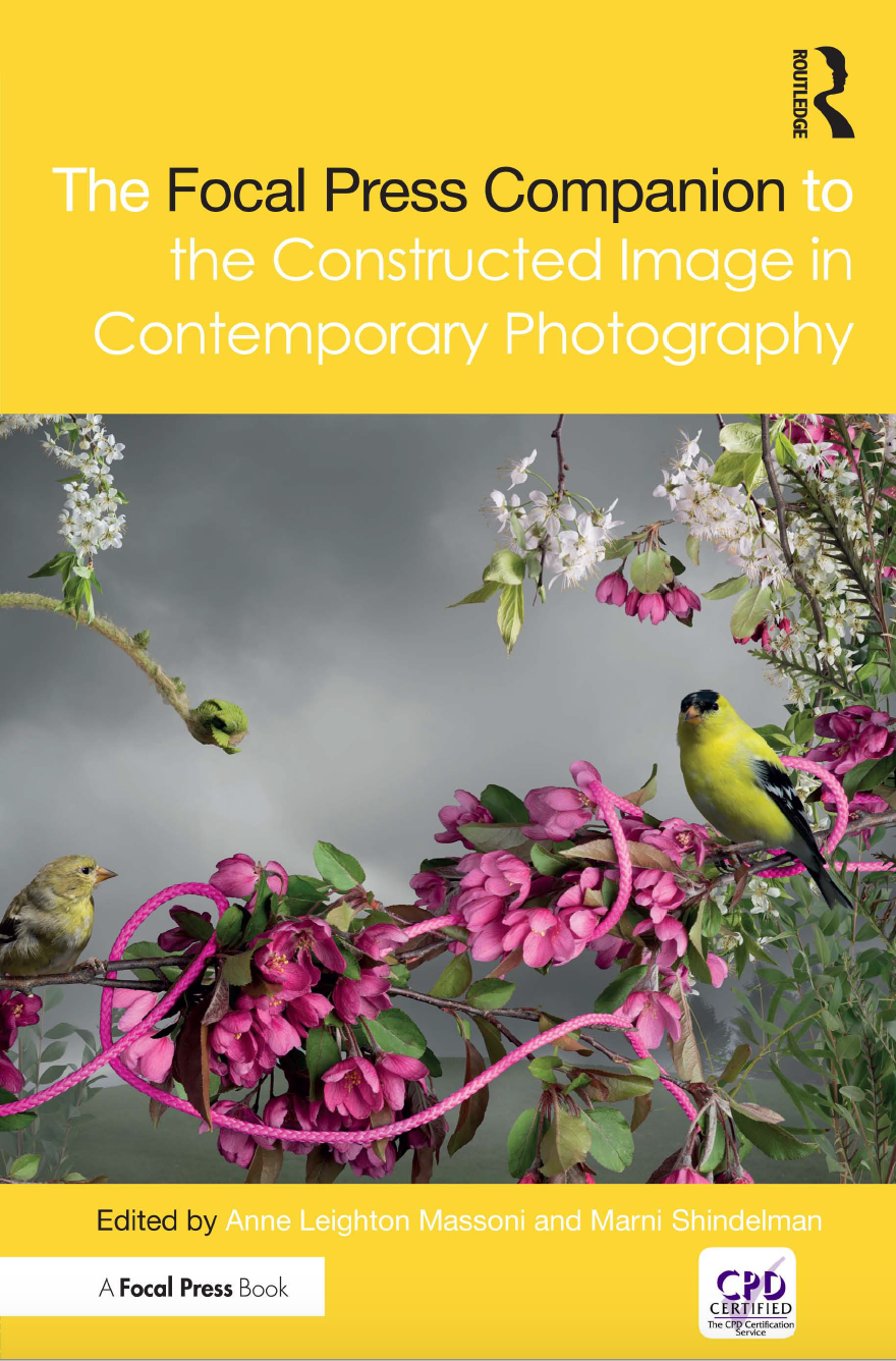 Contstructed Image cover